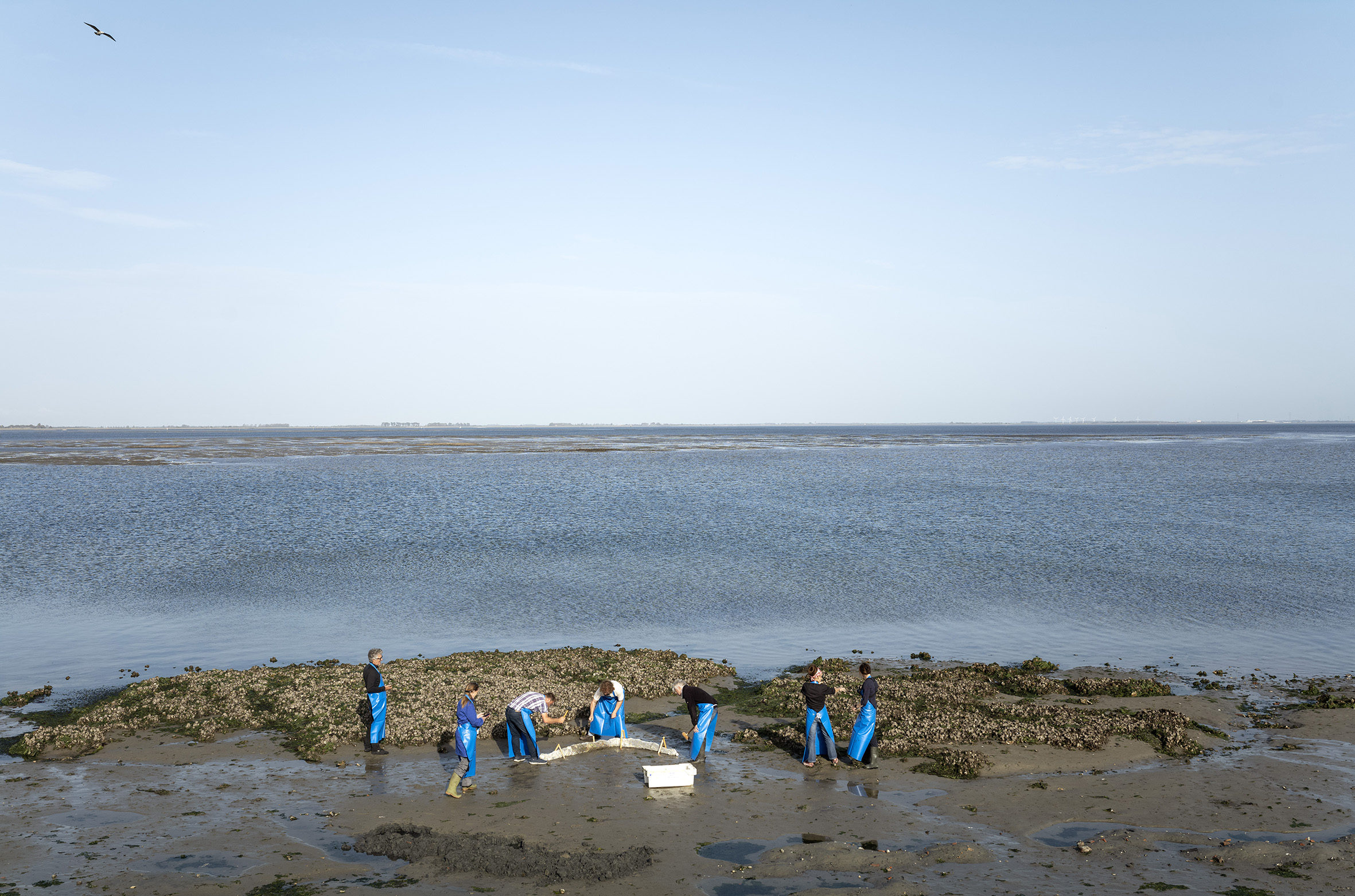 Het Nieuwe Delta Werken
